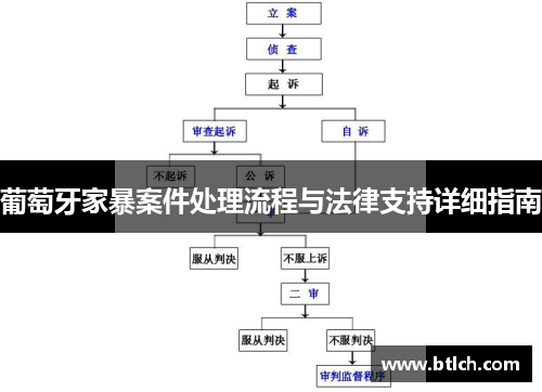 葡萄牙家暴案件处理流程与法律支持详细指南